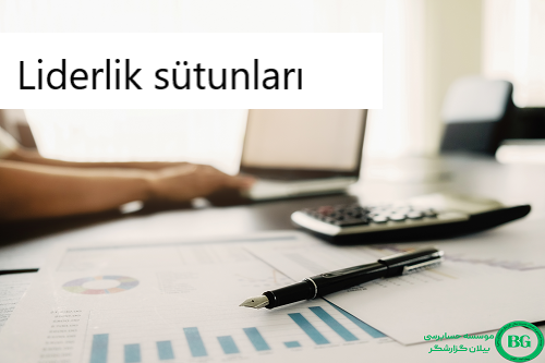 Liderlik sütunları
