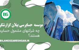 چه شرکتهای مشمول حسابرسی هستند؟