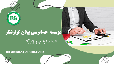 حسابرسی ویژه