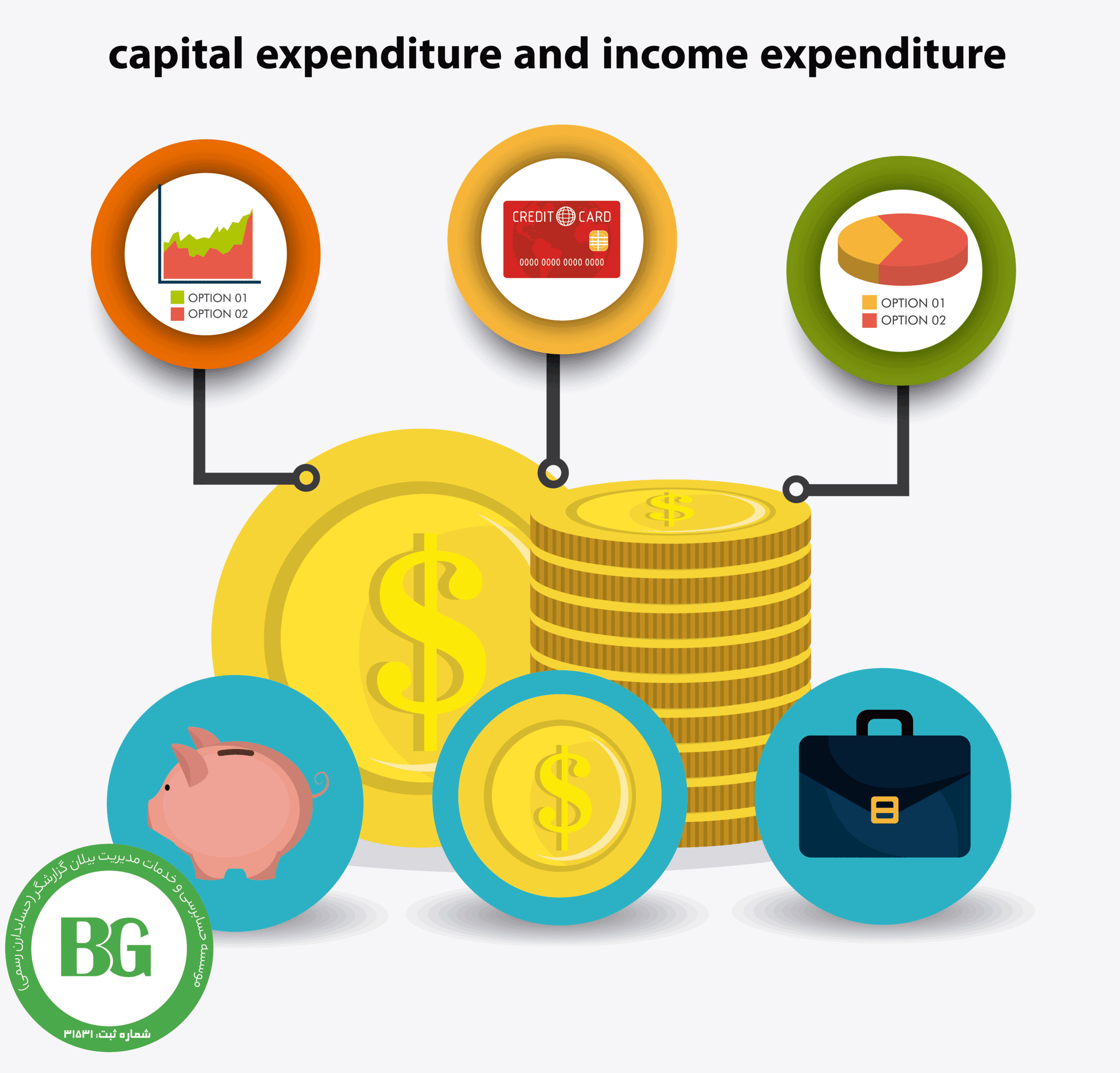 capital expenditure and income expenditure