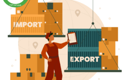 customs auditing