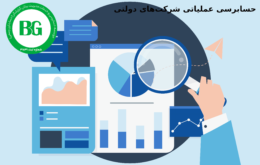 حسابرسی عملیاتی شرکت‌های دولتی