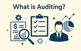 What is Auditing?