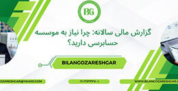 موسسه حسابرسی برای گزارش مالی سالانه